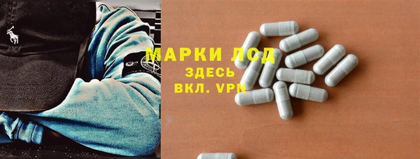 дмт Нея