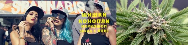 PSILOCYBIN Нефтекумск