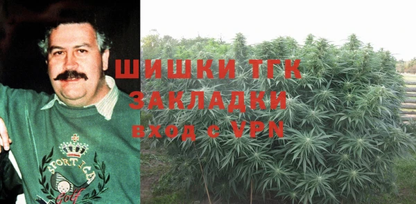 дмт Нея