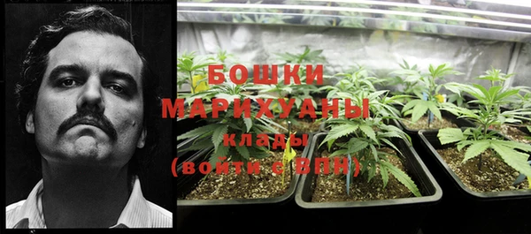 PSILOCYBIN Нефтекумск