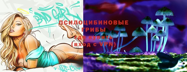PSILOCYBIN Нефтекумск
