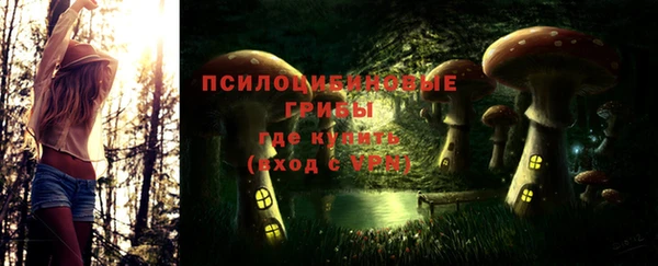 дмт Нея
