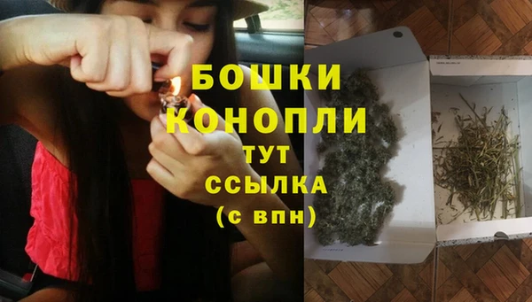 дмт Нея