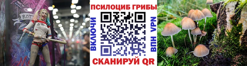 Псилоцибиновые грибы прущие грибы  Алагир 